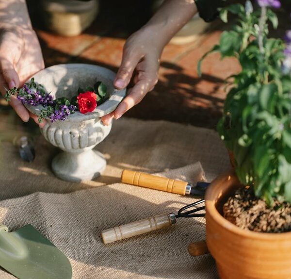 enhance growth with digital tools